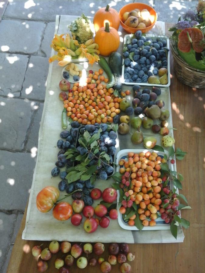 Palazzago Bio&B Cascina Montebello المظهر الخارجي الصورة