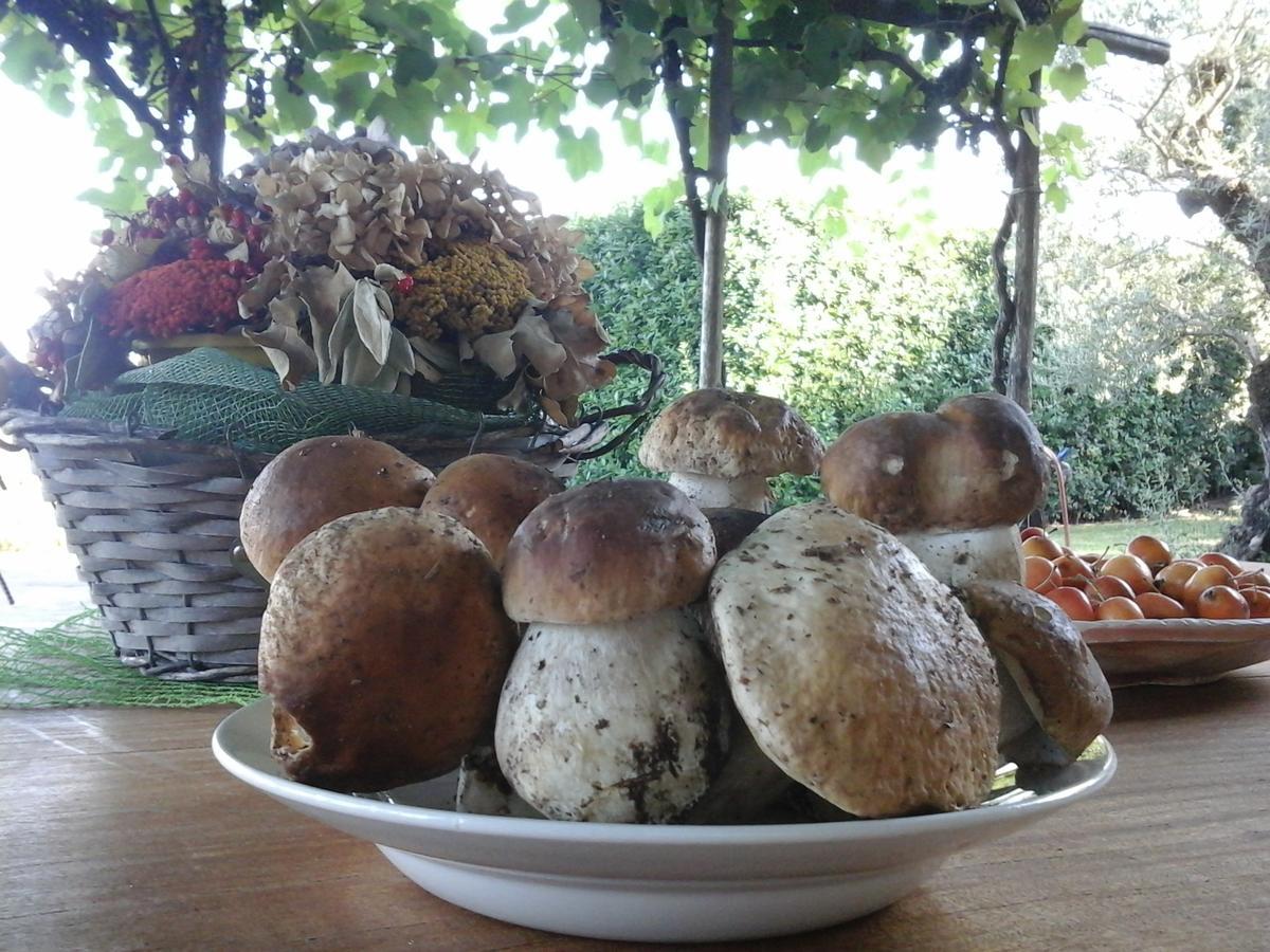 Palazzago Bio&B Cascina Montebello المظهر الخارجي الصورة